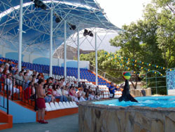 Театр морских животных «АКВАТОРИЯ»